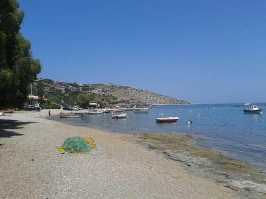 Maya'S Home Δασκαλειό Εξωτερικό φωτογραφία