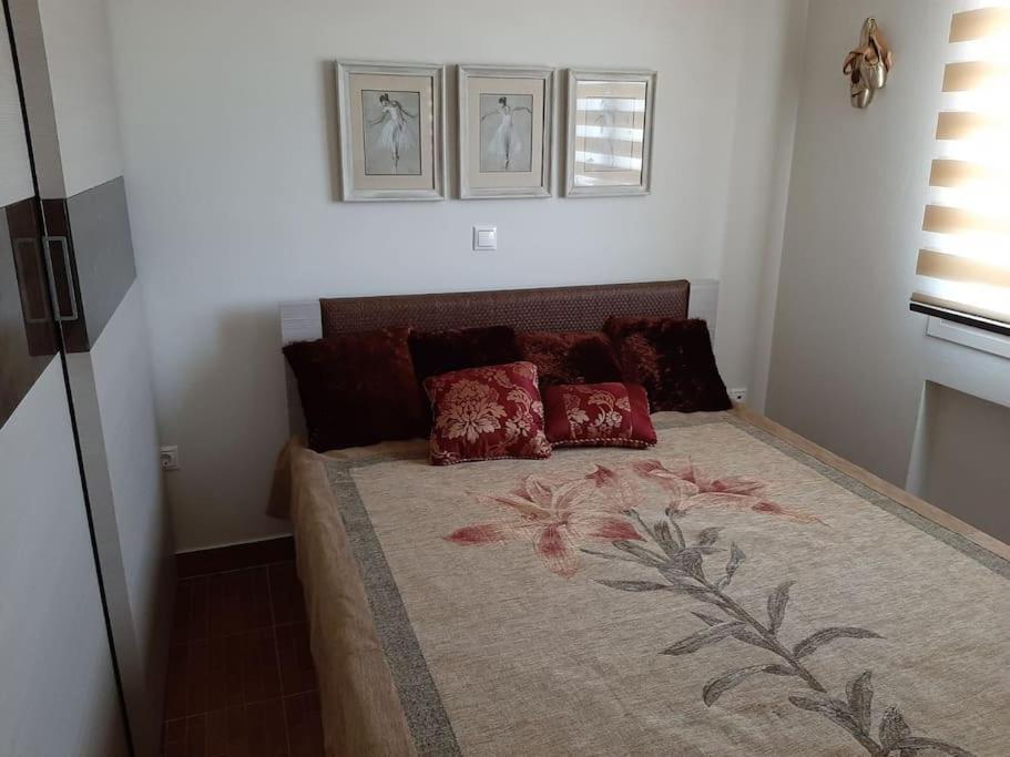 Maya'S Home Δασκαλειό Εξωτερικό φωτογραφία