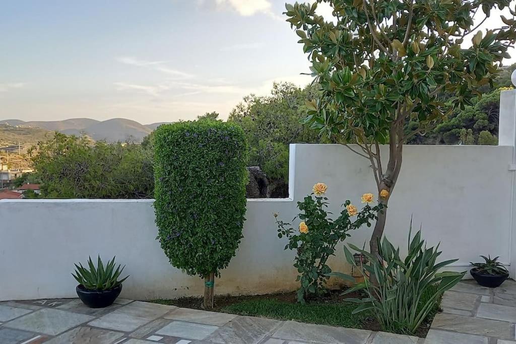 Maya'S Home Δασκαλειό Εξωτερικό φωτογραφία