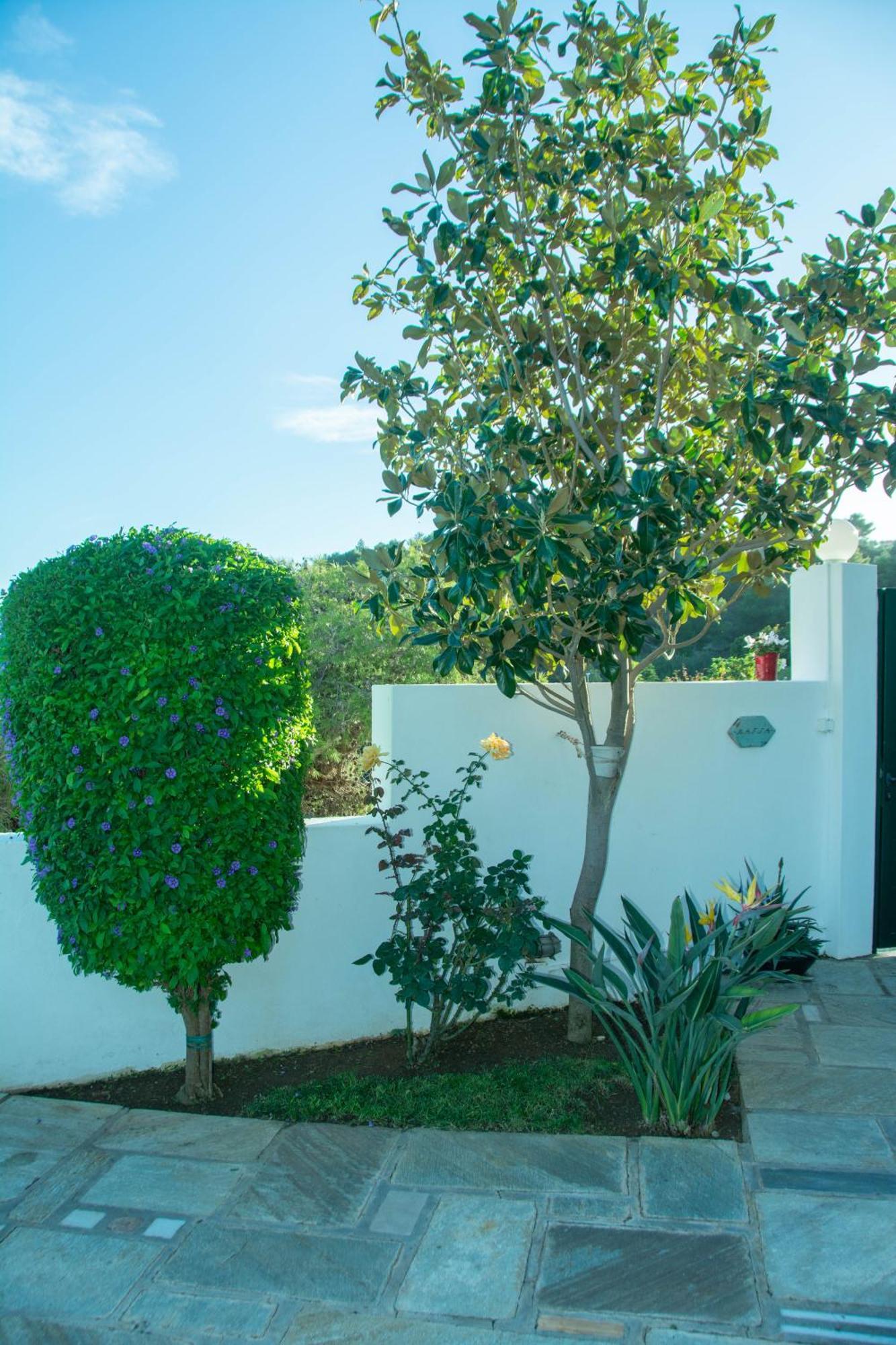 Maya'S Home Δασκαλειό Εξωτερικό φωτογραφία