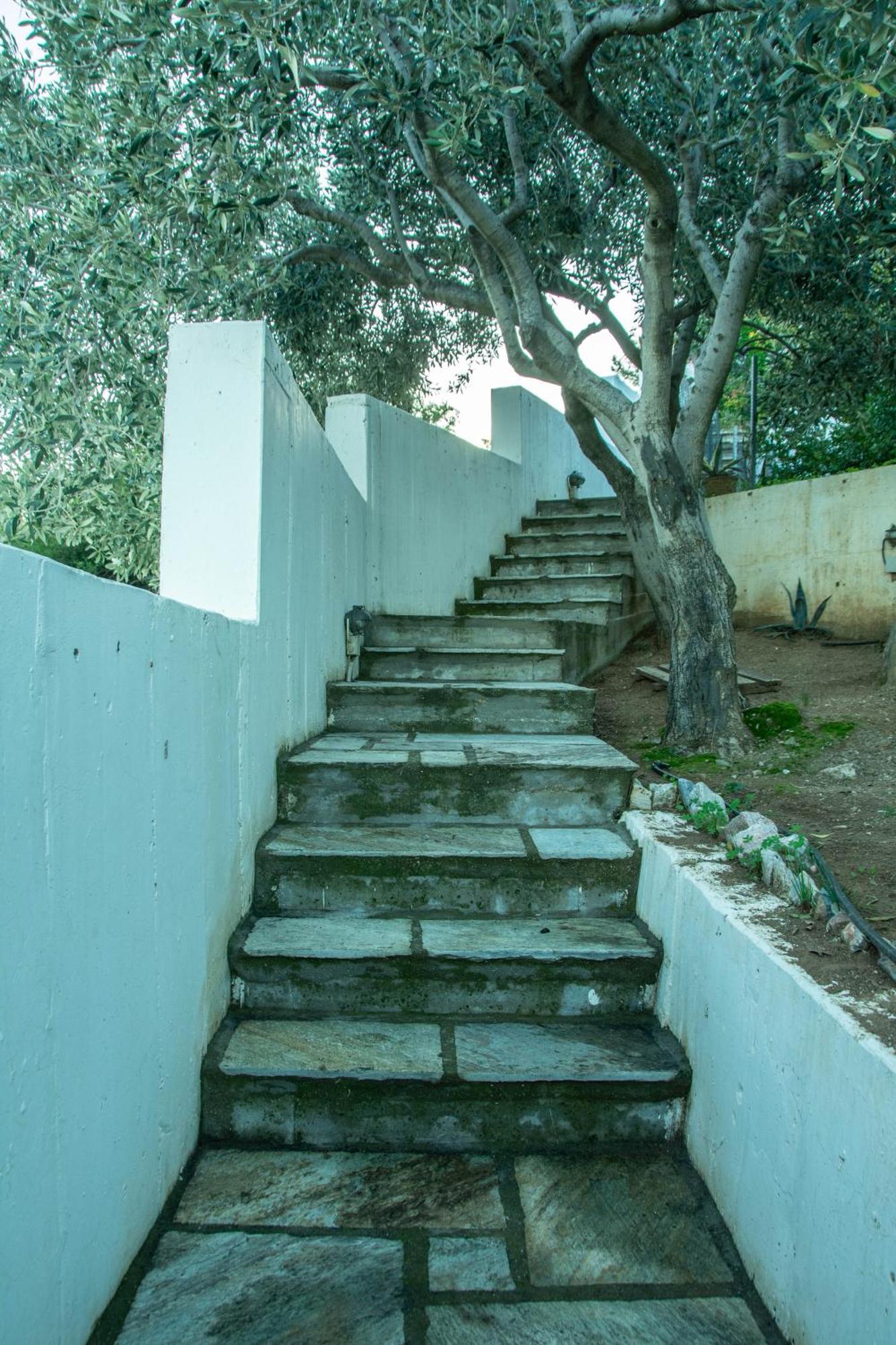Maya'S Home Δασκαλειό Εξωτερικό φωτογραφία